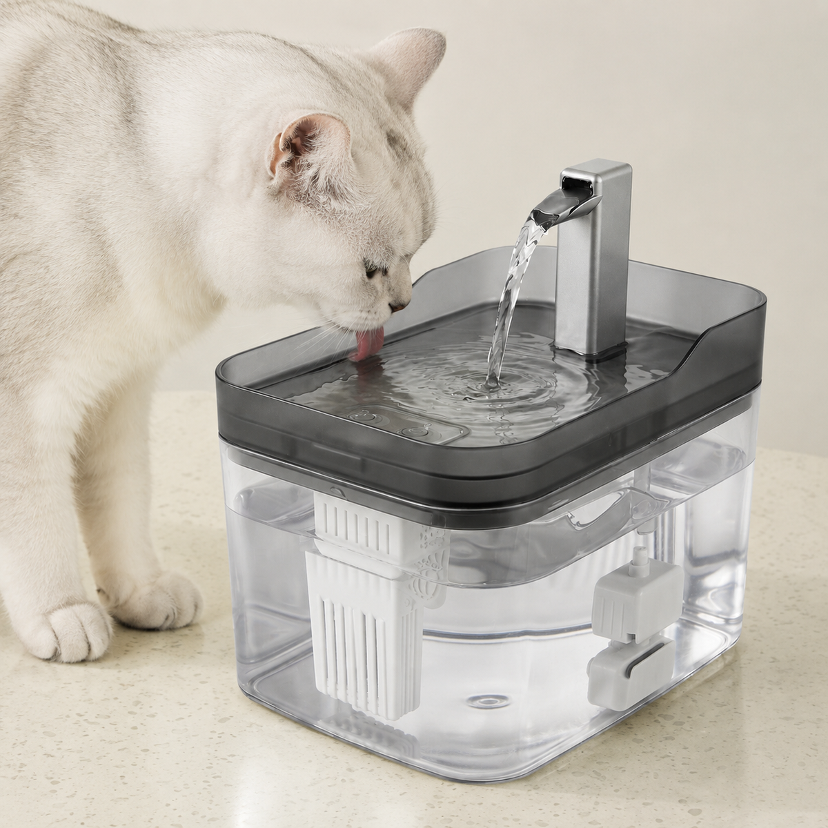 Gato hidratándose con la fuente CatOasis