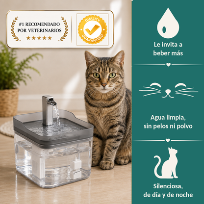 Fuente de agua para gatos CatOasis con sus beneficios